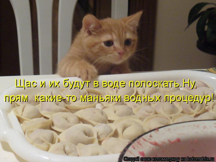 Щас и их будут в воде полоскать.Ну, прям какие-то маньяки водных процедур!... Котоматрица: Щас и их будут в воде полоскать.Ну, прям какие-то маньяки водных процедур!