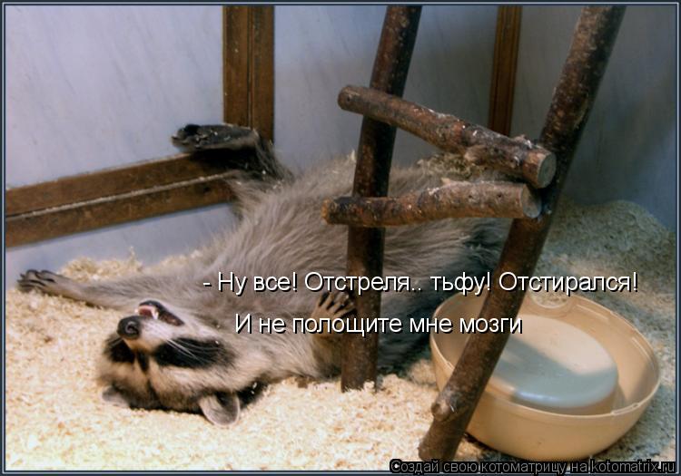 Котоматрица: - Ну все! Отстреля.. тьфу! Отстирался! И не полощите мне мозги
