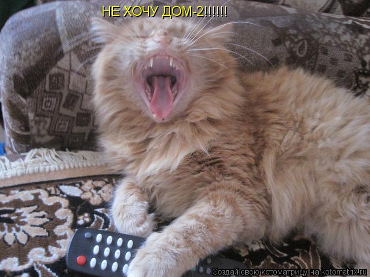 Котоматрица: НЕ ХОЧУ ДОМ-2!!!!!!