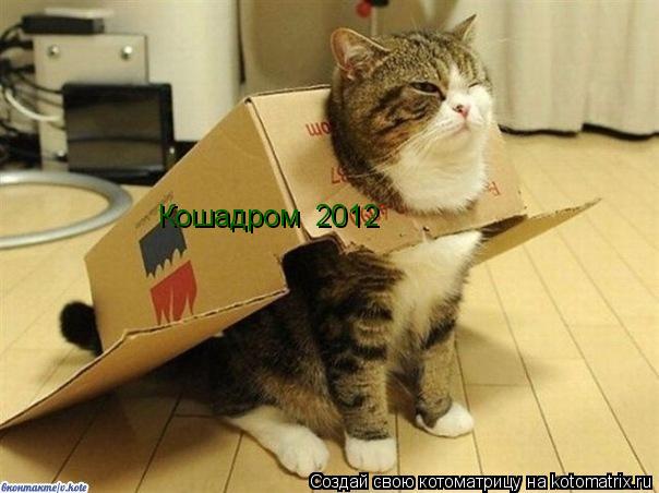 Кошадром 2012... Котоматрица: Кошадром 2012
