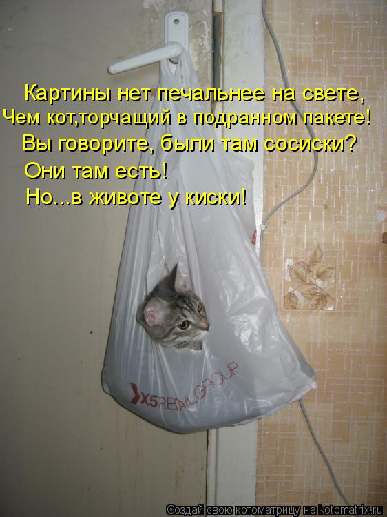 Чем кот,торчащий в подранном пакете! Вы говорите, были там сосиски? Они там есть! Но...в животе у кис... Котоматрица: Чем кот,торчащий в подранном пакете! Вы говорите, были там сосиски? Они там есть! Но...в животе у киски! Картины нет печальнее на свете,