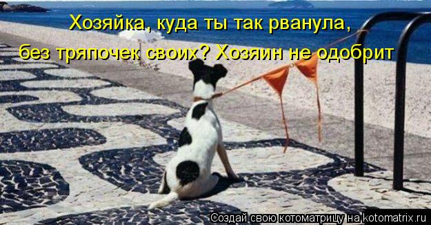 Хозяйка, куда ты так рванула, без тряпочек своих? Хозяин не одобрит... Котоматрица: Хозяйка, куда ты так рванула, без тряпочек своих? Хозяин не одобрит