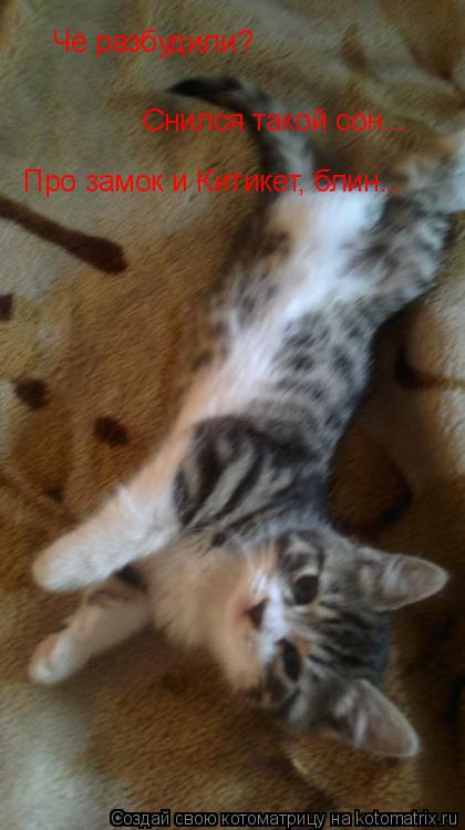 Котоматрица: Чё разбудили?  Снился такой сон...  Про замок и Китикет, блин...