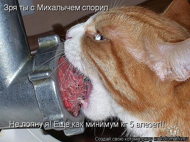Зря ты с Михалычем спорил Не лопну я! Еще как минимум кг 5 влезет!!... Котоматрица: Зря ты с Михалычем спорил Не лопну я! Еще как минимум кг 5 влезет!!