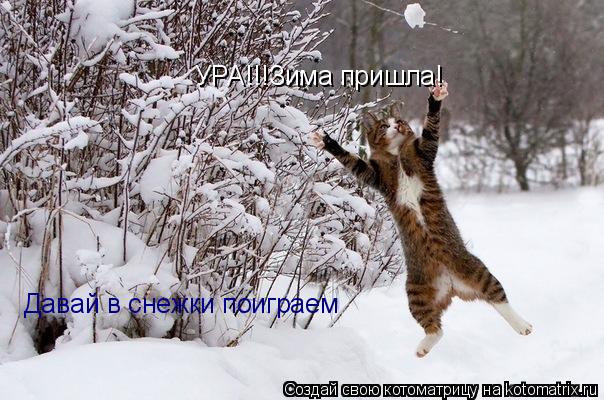 УРА!!!Зима пришла! Давай в снежки поиграем... Котоматрица: УРА!!!Зима пришла! Давай в снежки поиграем