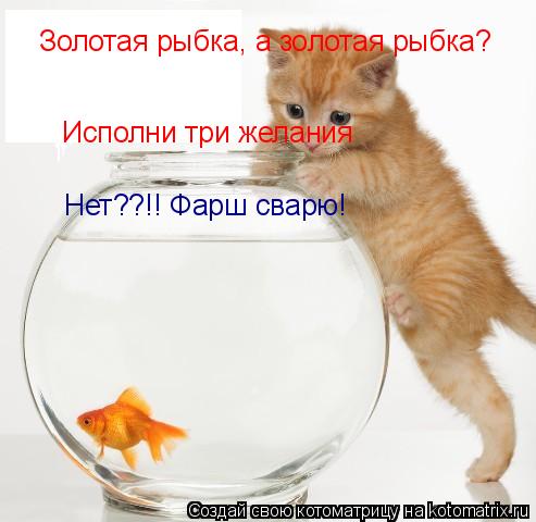 Золотая рыбка, а золотая рыбка? Исполни три желания Нет??!! Фарш сварю!... Котоматрица: Золотая рыбка, а золотая рыбка? Исполни три желания Нет??!! Фарш сварю!