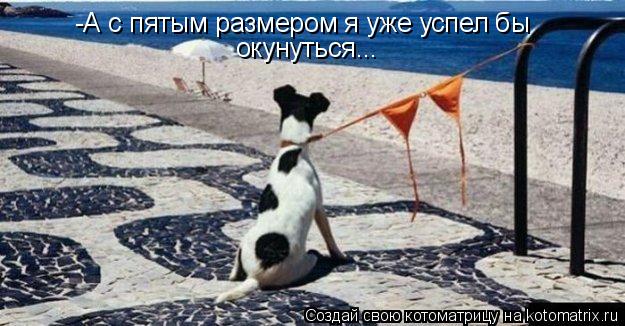 -А с пятым размером я уже успел бы окунуться...... Котоматрица: -А с пятым размером я уже успел бы окунуться...