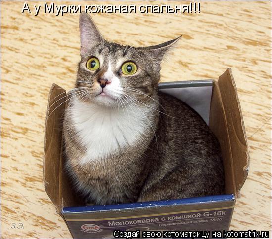 А у Мурки кожаная спальня!!!... Котоматрица: А у Мурки кожаная спальня!!!