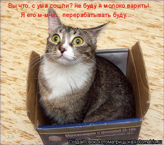 Вы что, с ума сошли? не буду я молоко варить! Я его м-м-м... перерабатывать буду...... Котоматрица: Вы что, с ума сошли? не буду я молоко варить! Я его м-м-м... перерабатывать буду...