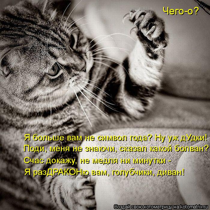 Я больше вам не символ года? Ну уж дУдки! Чего-о? Поди, меня не знаючи, сказал какой болван? Я разДРА... Котоматрица: Я больше вам не символ года? Ну уж дУдки! Чего-о? Поди, меня не знаючи, сказал какой болван? Я разДРАКОНю вам, голубчики, диван! Счас докажу, не