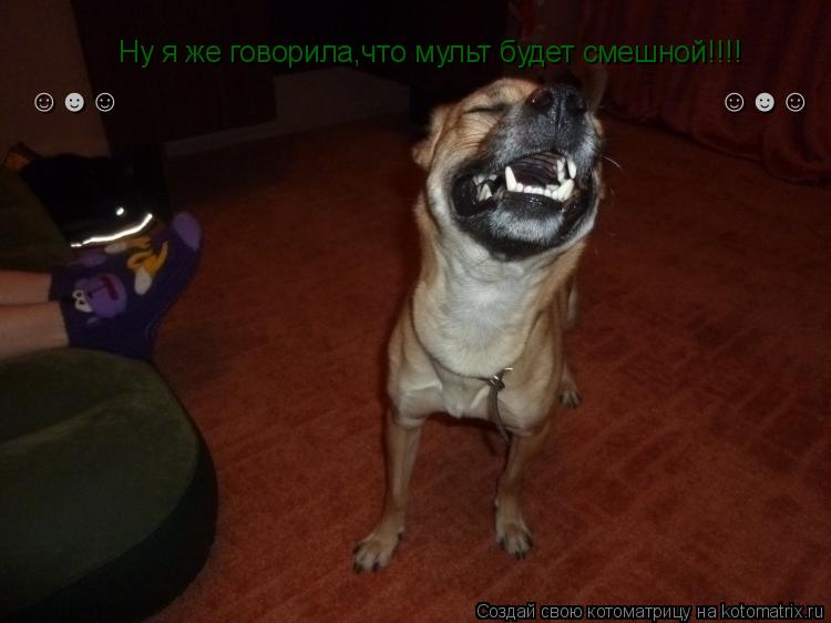 Ну я же говорила,что мульт будет смешной!!!! ☺☻☺ ☺☻☺... Котоматрица: Ну я же говорила,что мульт будет смешной!!!! ☺☻☺ ☺☻☺