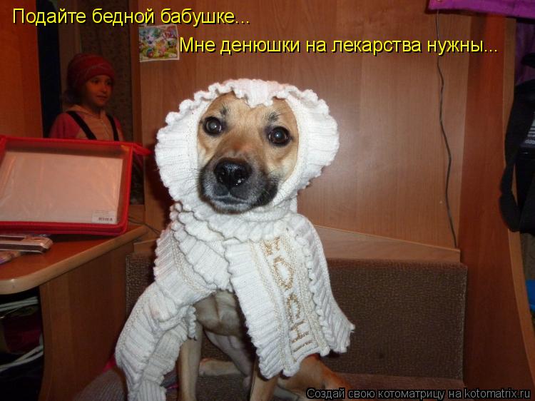 Котоматрица: Подайте бедной бабушке...  Мне денюшки на лекарства нужны...