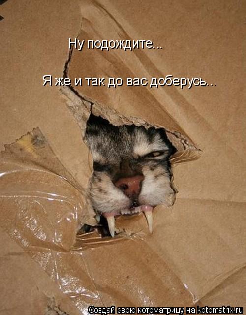 Котоматрица: Я же и так до вас доберусь... Ну подождите...