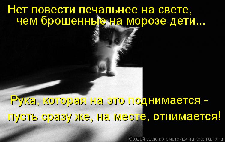Рука, которая на это поднимается - пусть сразу же, на месте, отнимается! Нет повести печальнее на св... Котоматрица: Рука, которая на это поднимается - пусть сразу же, на месте, отнимается! Нет повести печальнее на свете, чем брошенные на морозе дети...