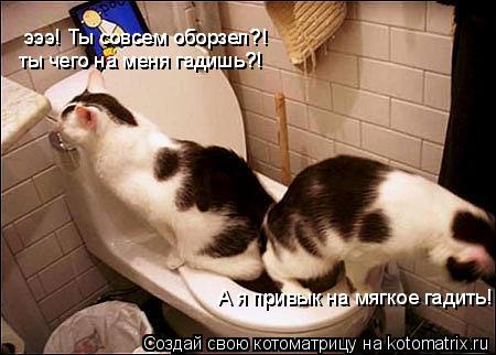 Котоматрица: эээ! Ты совсем оборзел?! ты чего на меня гадишь?! А я привык на мягкое гадить! ты чего на меня гадишь?! эээ! Ты совсем оборзел?!