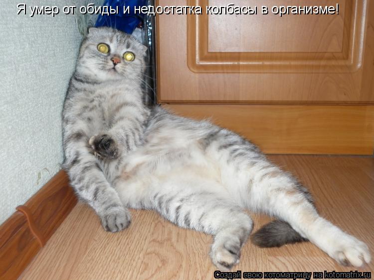 Я умер от обиды и недостатка колбасы в организме!... Котоматрица: Я умер от обиды и недостатка колбасы в организме!
