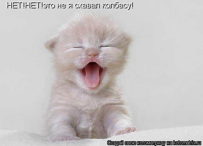 Котоматрица: НЕТ!НЕТ!это не я схавал колбасу!