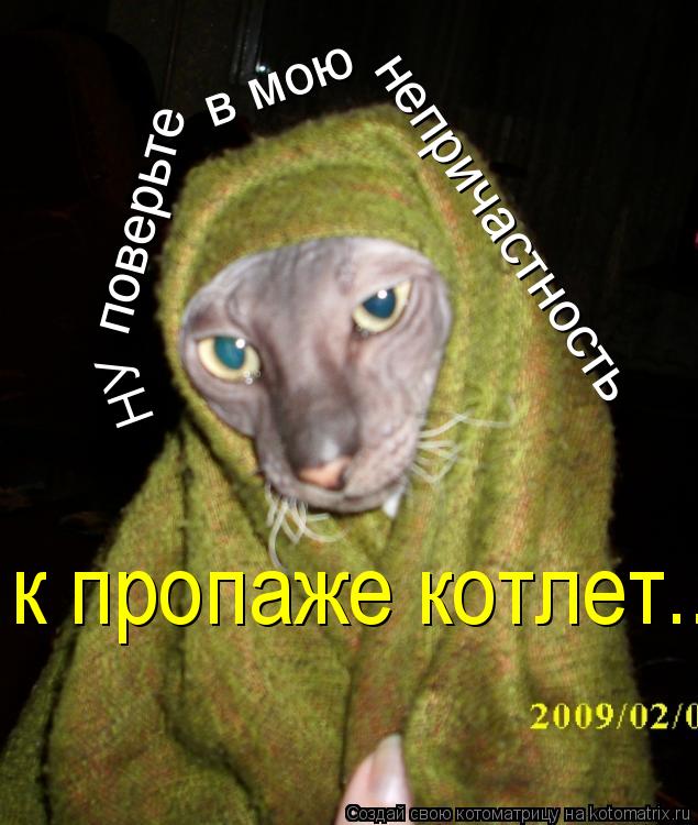 НУ поверьте в мою непричастность к пропаже котлет...... Котоматрица: НУ поверьте в мою непричастность к пропаже котлет...