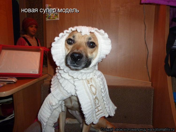 Котоматрица: новая супер модель