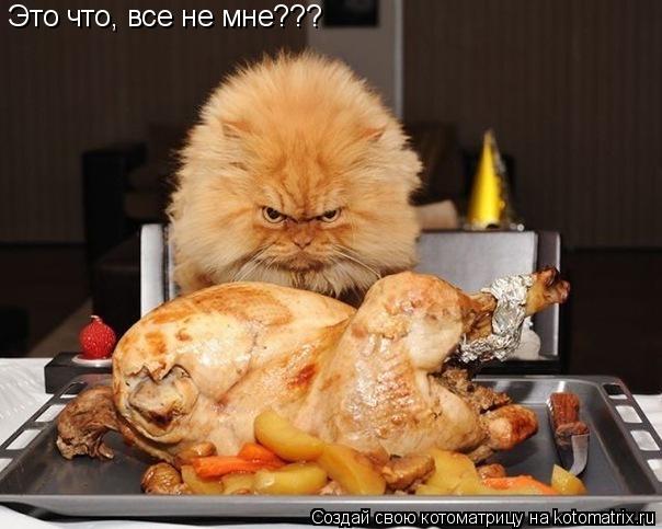 Это что, все не мне???... Котоматрица: Это что, все не мне???