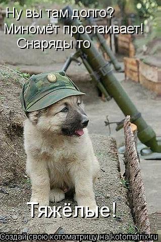 Ну вы там долго? Миномёт простаивает! Снаряды то Тяжёлые!... Котоматрица: Ну вы там долго? Миномёт простаивает! Снаряды то Тяжёлые!