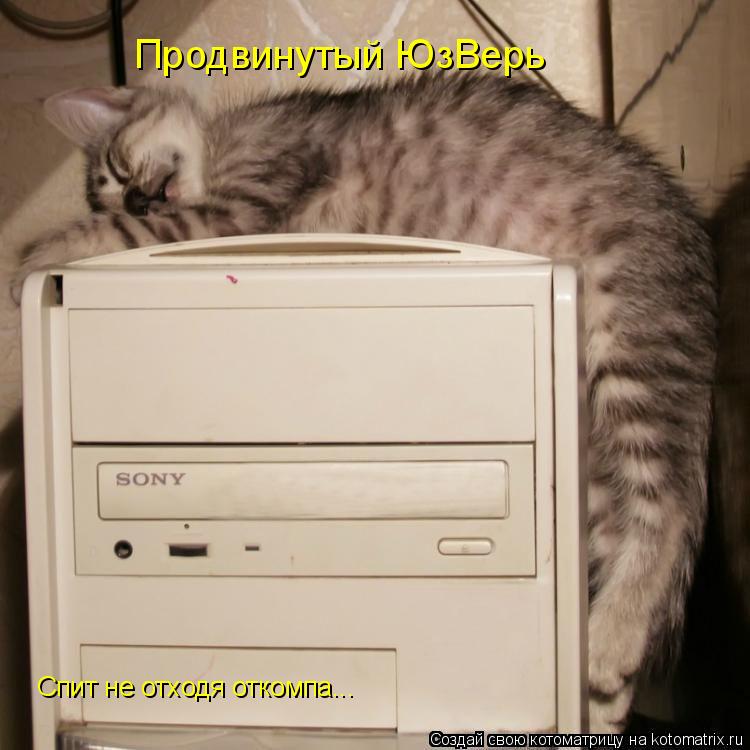 Котоматрица: Продвинутый ЮзВерь Спит не отходя откомпа...