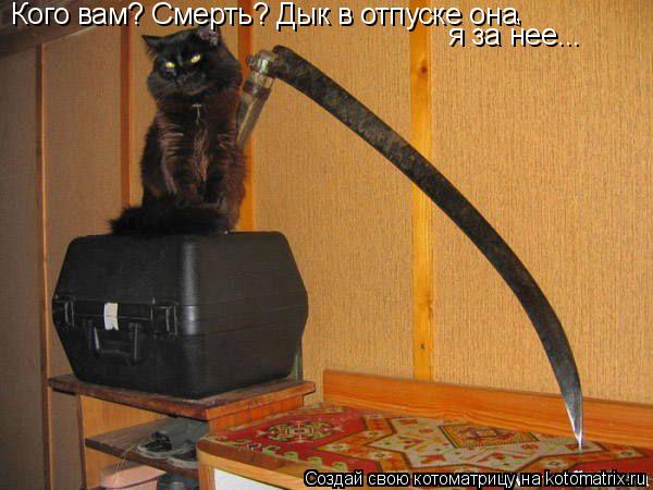 Кого вам? Смерть? Дык в отпуске она я за нее... ,... Котоматрица: Кого вам? Смерть? Дык в отпуске она я за нее... ,