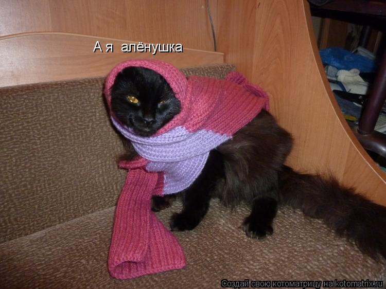 а А я алёнушка... Котоматрица: а А я алёнушка