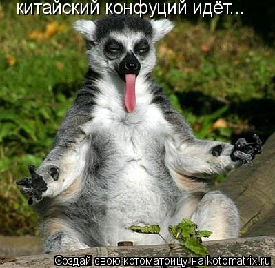 китайский конфуций идёт...... Котоматрица: китайский конфуций идёт...
