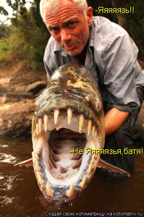 -Яяяяязь!! -Не Яяяяязья,батя!... Котоматрица: -Яяяяязь!! -Не Яяяяязья,батя!