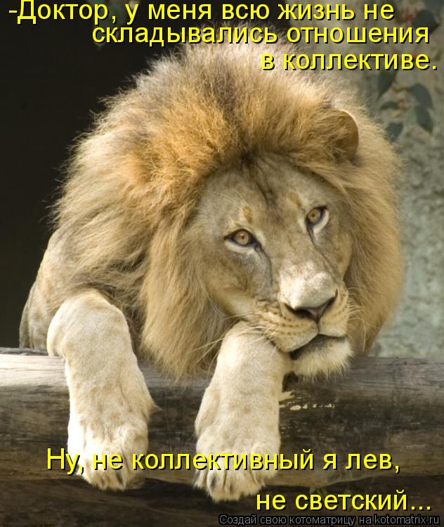 Котоматрица: -Доктор, у меня всю жизнь не  складывались отношения в коллективе. Ну, не коллективный я лев,  не светский...