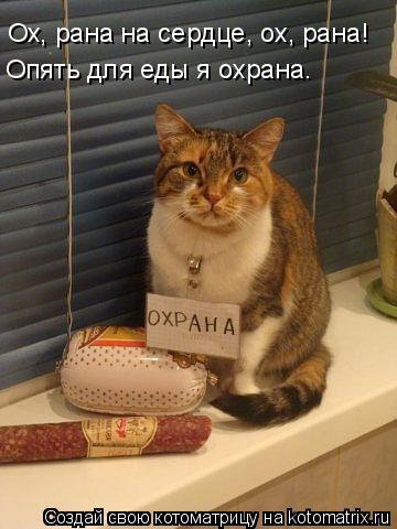 Котоматрица: Ох, рана на сердце, ох, рана! Опять для еды я охрана.