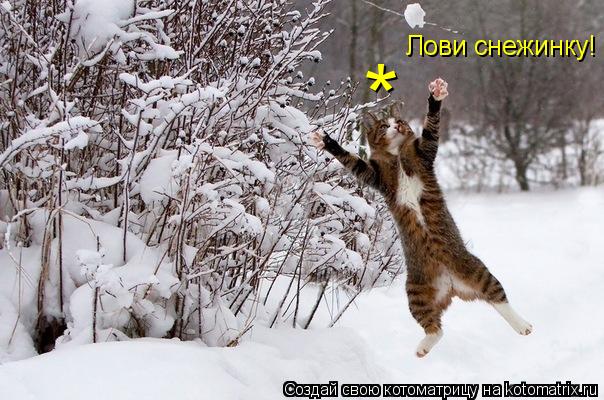 Котоматрица: Лови снежинку! *