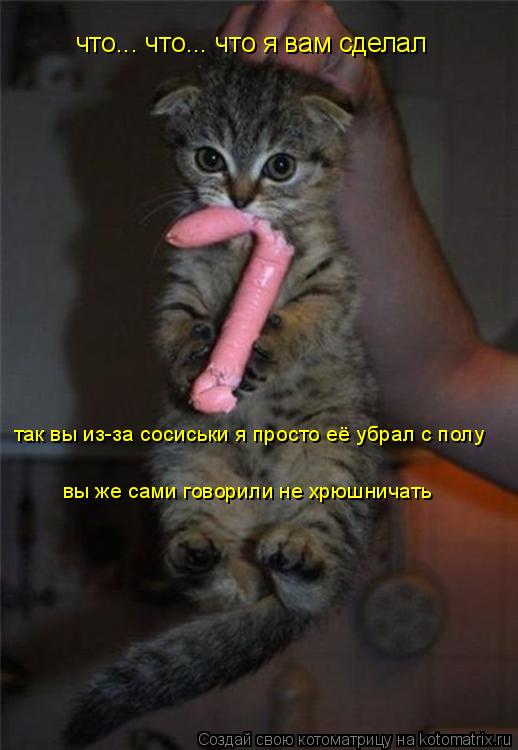 Котоматрица: что... что... что я вам сделал  так вы из-за сосиськи я просто её убрал с полу  вы же сами говорили не хрюшничать
