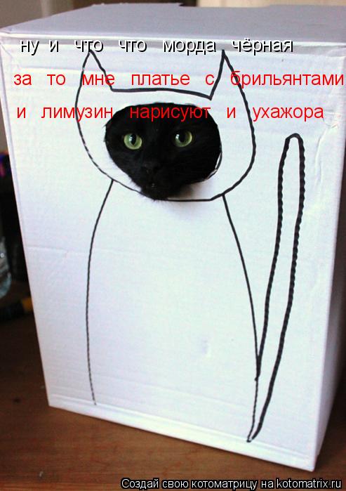 ну и что что морда чёрная за то мне платье с брильянтами и лимузин нарисуют... Котоматрица: ну и что что морда чёрная за то мне платье с брильянтами и лимузин нарисуют и ухажора