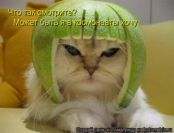 Котоматрица: Что так смотрите? Может быть я в космонавты хочу