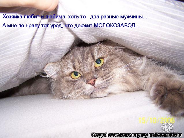 Хозяйка любит и любима, хоть то - два разные мужчины... Хозяйка любит и любима, хоть то - два разные ... Котоматрица: Хозяйка любит и любима, хоть то - два разные мужчины... Хозяйка любит и любима, хоть то - два разные мужчины... А мне по нраву тот урод, что держи