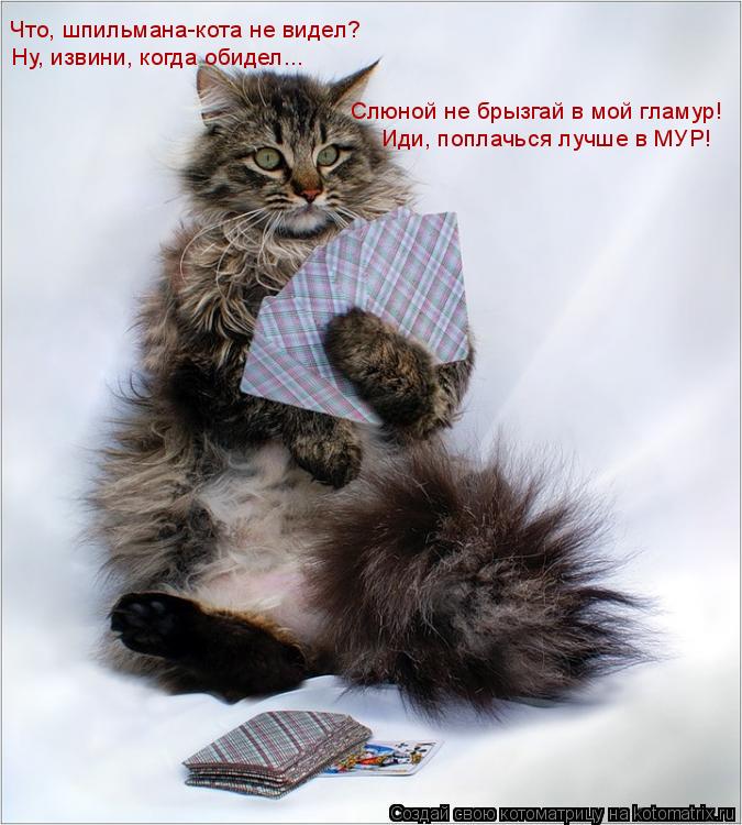 Что, шпильмана-кота не видел? Ну, извини, когда обидел... Слюной не брызгай в мой гламур! Иди, поплач... Котоматрица: Что, шпильмана-кота не видел? Ну, извини, когда обидел... Слюной не брызгай в мой гламур! Иди, поплачься лучше в МУР!