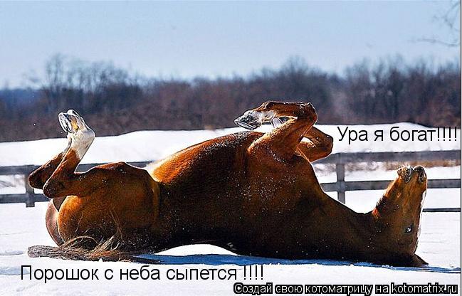 Ура я богат!!!! Порошок с неба сыпется !!!!... Котоматрица: Ура я богат!!!! Порошок с неба сыпется !!!!