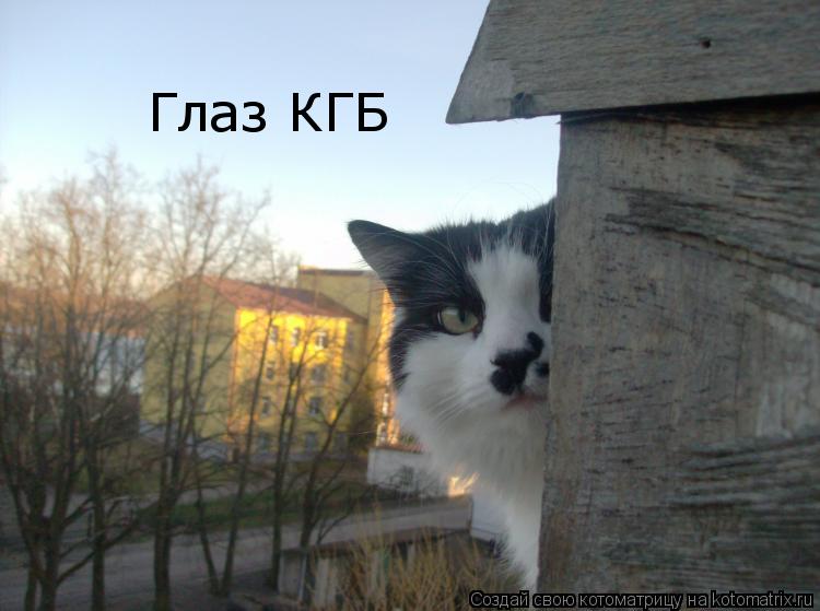 Котоматрица: Глаз КГБ