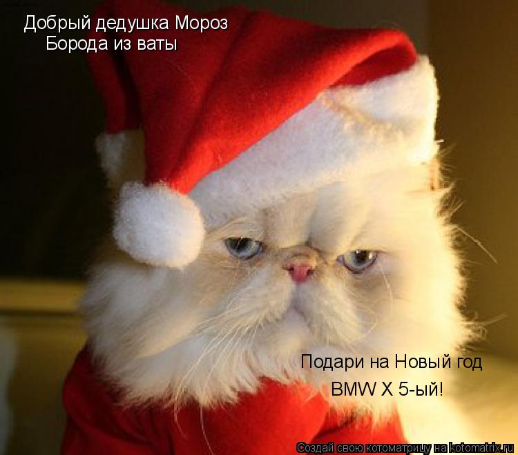Котоматрица: Добрый дедушка Мороз Борода из ваты Подари на Новый год BMW X 5-ый!