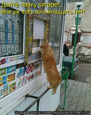 Котоматрица: Дайте пачку сигарет, Мне уж есть восьмнадцать лет!