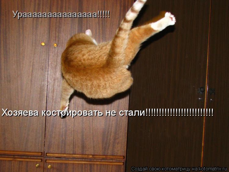 Котоматрица: Урааааааааааааааа!!!!! Хозяева кострировать не стали!!!!!!!!!!!!!!!!!!!!!!!!!
