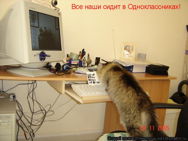 Котоматрица: Все наши сидит в Одноклассниках!