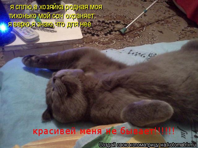 я сплю,а хозяйка родная моя тихонько мой сон охраняет: я верю,я знаю,что для нее красивей меня не быв... Котоматрица: я сплю,а хозяйка родная моя тихонько мой сон охраняет: я верю,я знаю,что для нее красивей меня не бывает!!!!!!