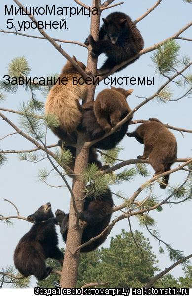 МишкоМатрица 5 уровней. Зависание всей системы... Котоматрица: МишкоМатрица 5 уровней. Зависание всей системы