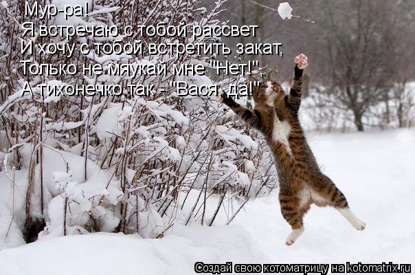 Котоматрица: Мур-ра! Я встречаю с тобой рассвет И хочу с тобой встретить закат, Только не мяукай мне "Нет!", А тихонечко так - "Вася, да!"