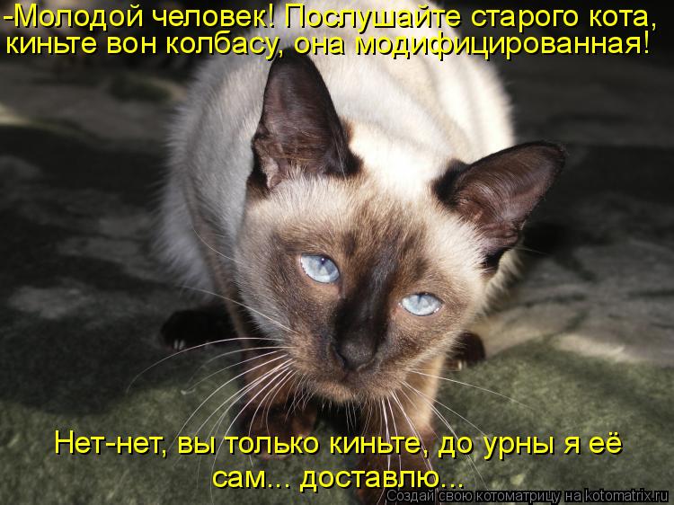 -Молодой человек! Послушайте старого кота, киньте вон колбасу, она модифицированная! Нет-нет, вы тол... Котоматрица: -Молодой человек! Послушайте старого кота, киньте вон колбасу, она модифицированная! Нет-нет, вы только киньте, до урны я её сам... доставлю...