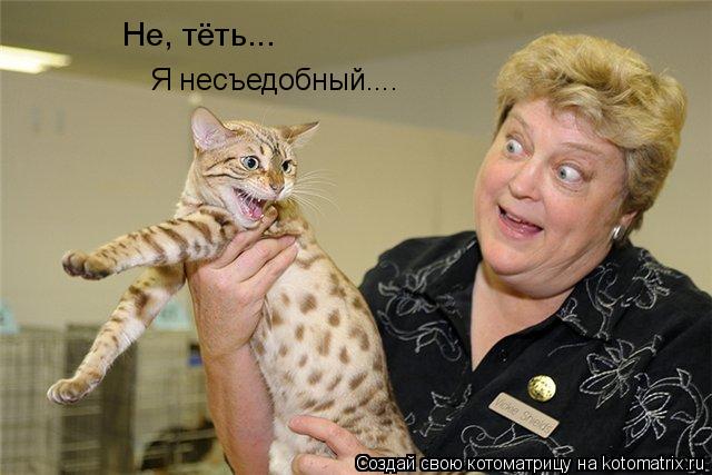 Не, тёть... Я несъедобный....... Котоматрица: Не, тёть... Я несъедобный....