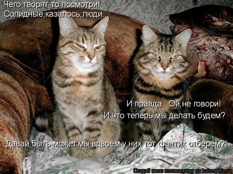 Чего творят-то посмотри! Солидные,казалось,люди... И правда...Ой,не говори! И что теперь мы делать бу... Котоматрица: Чего творят-то посмотри! Солидные,казалось,люди... И правда...Ой,не говори! И что теперь мы делать будем? Давай,быть может,мы вдвоём у них тот ф